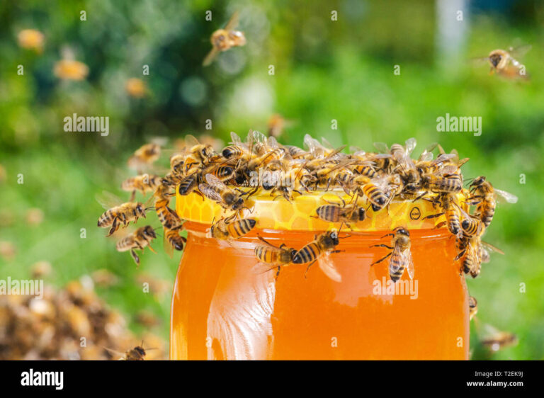 Qué significa soñar con miel y abejas